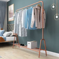 挂衣架落地卧室置物架网红简易家用衣帽架简约现代衣服架子单杆式