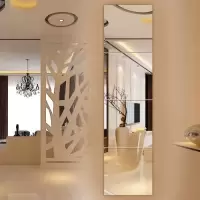 穿衣镜试衣镜子全身镜学生壁挂家用贴墙自粘贴宿舍女浴室拼接镜子