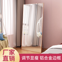镜子全身穿衣落地家用立体女生卧室少女ins风显瘦服装店大试衣镜