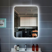 竖挂背光智能镜led带灯浴室镜壁挂卫浴洗手镜防雾卫生间化妆镜子