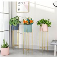 北欧铁艺花架客厅大堂落地式简约绿植架盆栽架网红室内绿萝花架子
