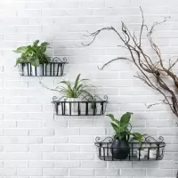 铁艺花架壁挂花架装饰墙壁花篮挂篮阳台花架花盆架绿萝植物花架