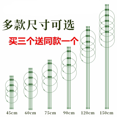 爬藤架子花支架月季花架室内花卉植物支撑杆绿萝铁线莲攀爬架园艺