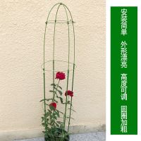 盆栽花架伸缩花支架铁线莲藤月季花架可调节花架爬藤支撑架