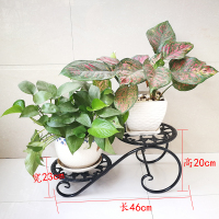 泳泉多肉花架铁艺多层花架子落地欧式室内多肉花盆架欧式客厅阳台