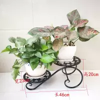 泳泉多肉花架铁艺多层花架子落地欧式室内多肉花盆架欧式客厅阳台