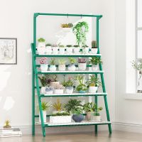 客厅绿萝多肉落地花架阳台置物架实木花盆架花架子多层室内特价