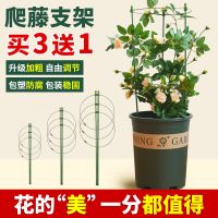 爬藤花架绿萝铁线莲蟹爪兰攀爬支架花卉植物花盆支撑固定铁艺架子