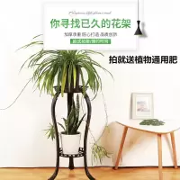 欧式花架铁艺加厚多层室内落地式绿萝花架子客厅阳台吊篮家用花盆
