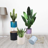 新品北欧风铁艺桌面阳台飘窗小型花架客厅卧室花盆现代简约花架子