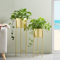 花架北欧室内家用阳台装饰置物架子铁艺客厅简约花盆植物挂架绿萝