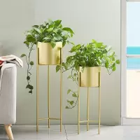 花架北欧室内家用阳台装饰置物架子铁艺客厅简约花盆植物挂架绿萝