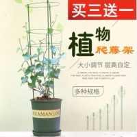 爬藤花架子花支架植物攀爬藤本架铁艺支柱月季爬藤花架