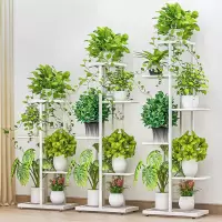 花架客厅铁艺室内家用多肉绿萝阳台花架子多层特价花盆置物架落地