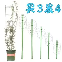 爬藤架花架园艺支架植物攀爬架铁艺支柱室内外月季铁线莲葡萄花架