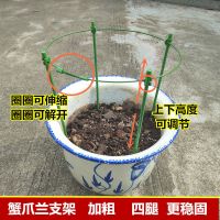 蟹爪兰支架一层架子单层加粗新款兰花架爬藤护叶架芦荟园艺小架子