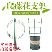 爬藤架子花支架月季花架室内花卉植物支撑杆绿萝铁线莲攀爬架园艺