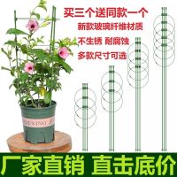 爬藤花架园艺支柱架阳台绿萝月季铁线莲藤本花卉植物攀爬铁艺支撑