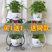 欧式阳台花架多层铁艺绿萝花盆架室内客厅吊兰多肉地面落地花架子