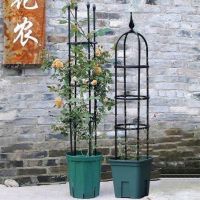 园艺爬藤花支架植物月季铁线莲紫藤支架攀爬花架阳台支撑架8mm