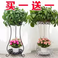 欧式铁艺花架多层落地阳台花盆架绿萝多肉客厅吊兰花架子室内