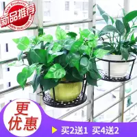 加粗铁艺阳台花架栏杆花架护栏挂式花盆架吊篮绿萝架