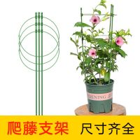 花架子爬藤花支架室内外月季花卉植物支撑杆绿萝铁线莲攀爬架园艺
