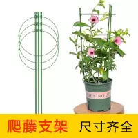 花架子爬藤花支架室内外月季花卉植物支撑杆绿萝铁线莲攀爬架园艺