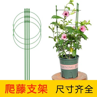 花架子爬藤花支架室内外月季花卉植物支撑杆绿萝铁线莲攀爬架园艺