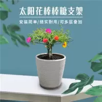 太阳花棒棒糖支架花架蟹爪兰嫁接叶仙绿萝单层多层支撑爬藤造型