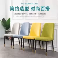 北欧网红现代简约餐椅轻奢家用靠背餐桌椅美式餐厅设计师创意椅子