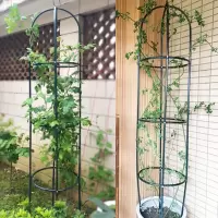 铁艺花架爬藤架月季花铁线莲户外柱形欧式花架盆载花支撑架室内