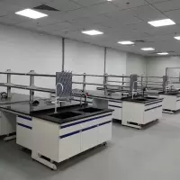 实验室实验台工作台全钢钢木实验台操作台化试验边台钢木中央台