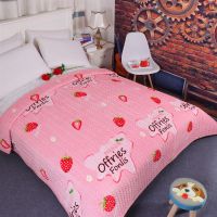 双层加棉防滑法兰绒毛毯保暖加厚抗皱珊瑚绒床单单双人盖毯空调毯