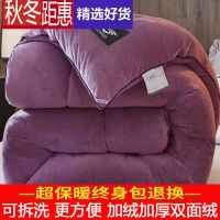 可拆洗棉被冬被子芯双面绒加厚保暖水晶绒雪貂绒珊瑚不可拆