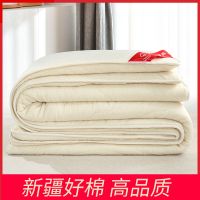 新疆棉花被全棉胎棉絮床垫褥子垫被床褥双人加厚冬被学生被子