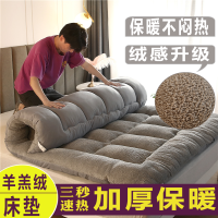 特价加厚羊羔绒床垫保暖羽丝绒可叠双人榻榻米床褥子单人宿舍垫被