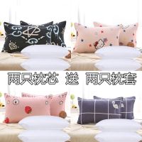 枕头枕芯送枕套一对装学生宿舍单个家用成人护颈椎枕单人双人男女