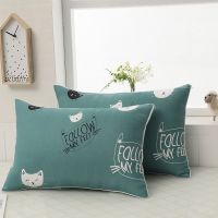 单人枕头一对枕芯带枕套学生韩式柔软可爱女生酒店双人家用一只装