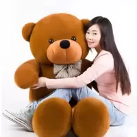 泰迪熊公仔毛绒玩具可爱大号熊猫抱抱熊布娃娃抱枕送女友生日礼物