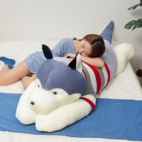 哈士奇公仔狗狗熊毛绒玩具可爱玩偶布娃娃女孩睡觉抱枕生日礼物女