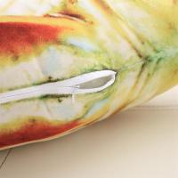 创意仿真鲫鱼鲤鱼公仔抱枕 鱼抱枕靠垫生日礼物毛绒玩具仿真玩偶