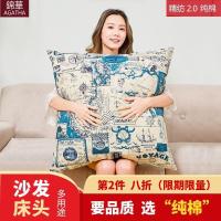大号抱枕大65x65靠枕大靠背正方形套客厅欧式床上沙发床头靠垫