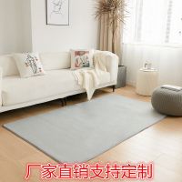 地毯卧室满铺客厅床边飘窗垫爬行加厚垫子锻炼家用定制进门垫