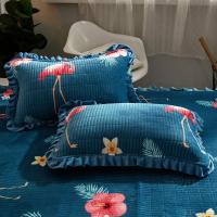 水晶绒绒夹棉枕套一对装加绒保暖枕头套法兰绒毛绒枕芯套冬季