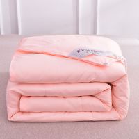 蚕丝被子春秋被薄空调被双人夏凉被单人丝棉被芯礼品冬被