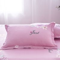 两只装成人枕套48*74cm一对双人枕套