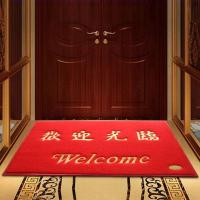 入户门刮泥蹭土垫欢迎光临脚垫门垫丝圈地毯出入平安家用定制