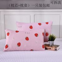 枕头套枕芯一对装可爱学生宿舍枕套成人枕头套单人枕头一只装
