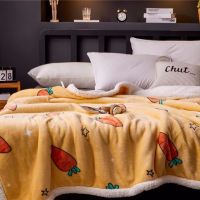 网红毛毯双层毛毯 被子冬季羊羔绒加厚保暖法兰绒毯子绒毯子